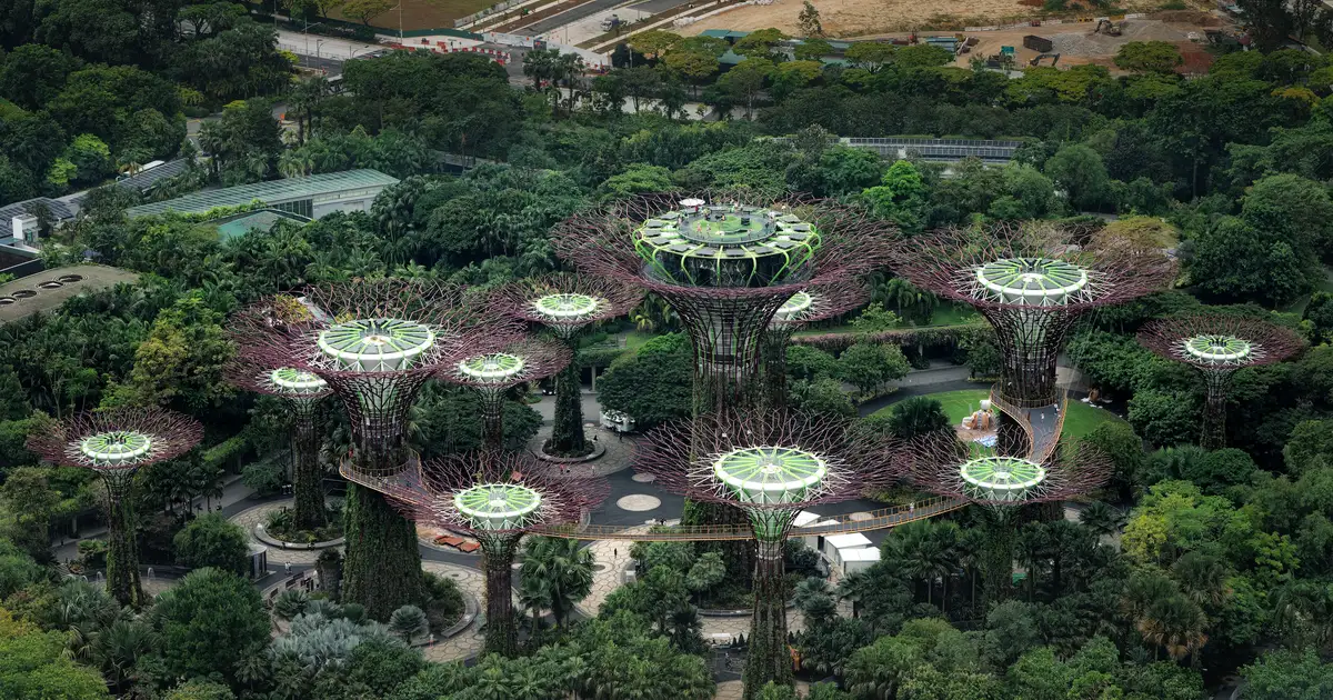 Gardens by the Bay Day Trip from JB: Full Guide (2026)